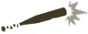 KW_Bt